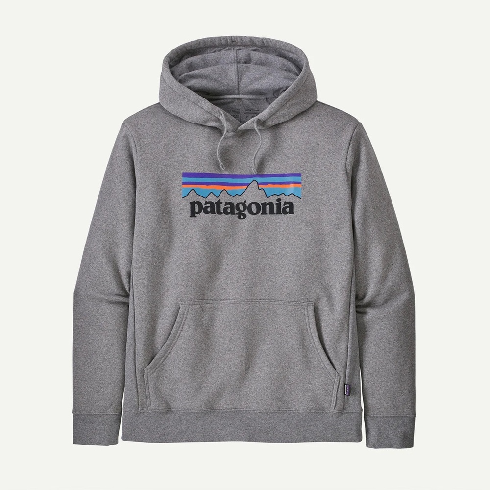 Patagonia Gray Hoodie with Vibrant Logo